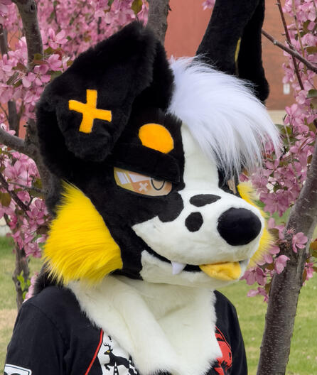 First fursuit (2022)
